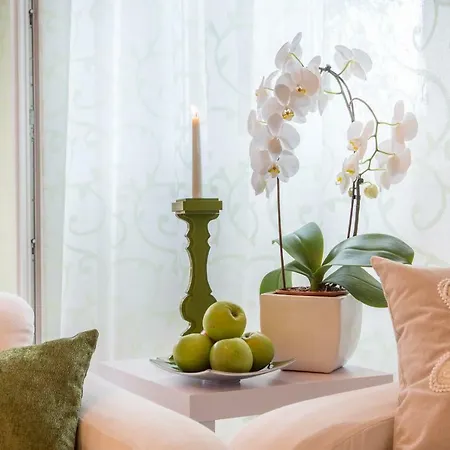 Serena 维拉西米乌斯