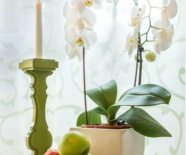 Serena Апартаменты